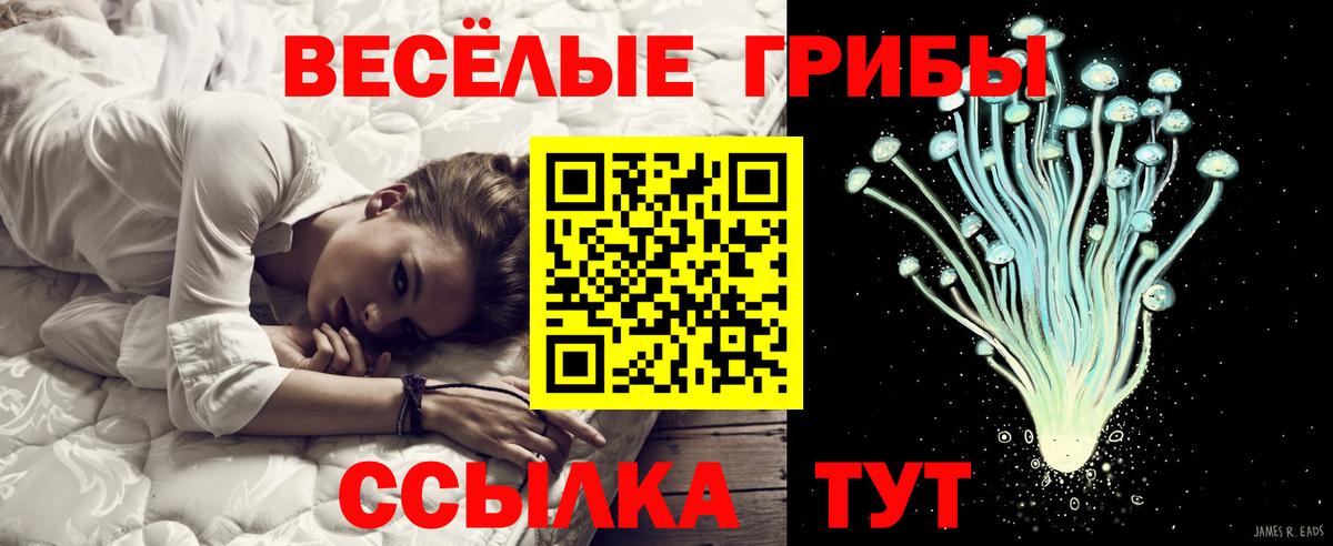 Галлюциногенные грибы Magic Shrooms  Вход с VPN  Арсеньев  Галлюциногенные грибы Psilocybe 