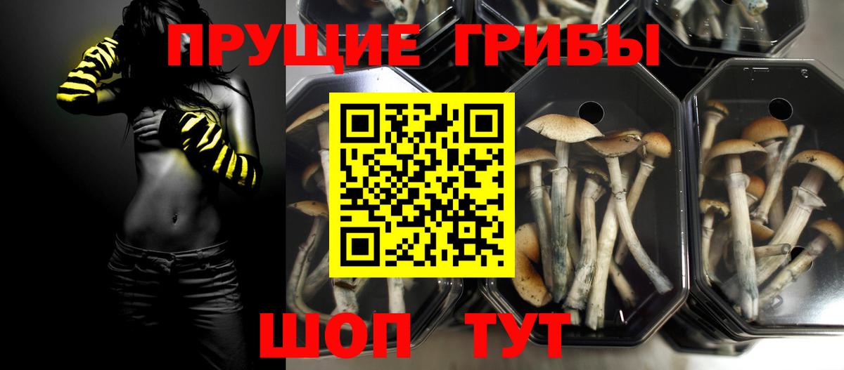 Псилоцибиновые грибы ЛСД Арсеньев